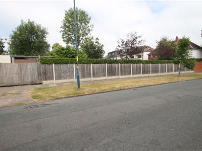 Picture 23
